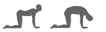 http://www.nurullahermis.com/public/kcfinder/upload/files/bel-fitigi-egzersiz-8.png